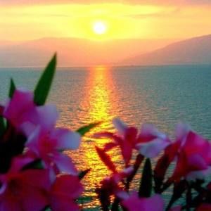 Meet your Posher, Talin